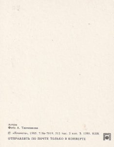 Atvirukas - Image 2